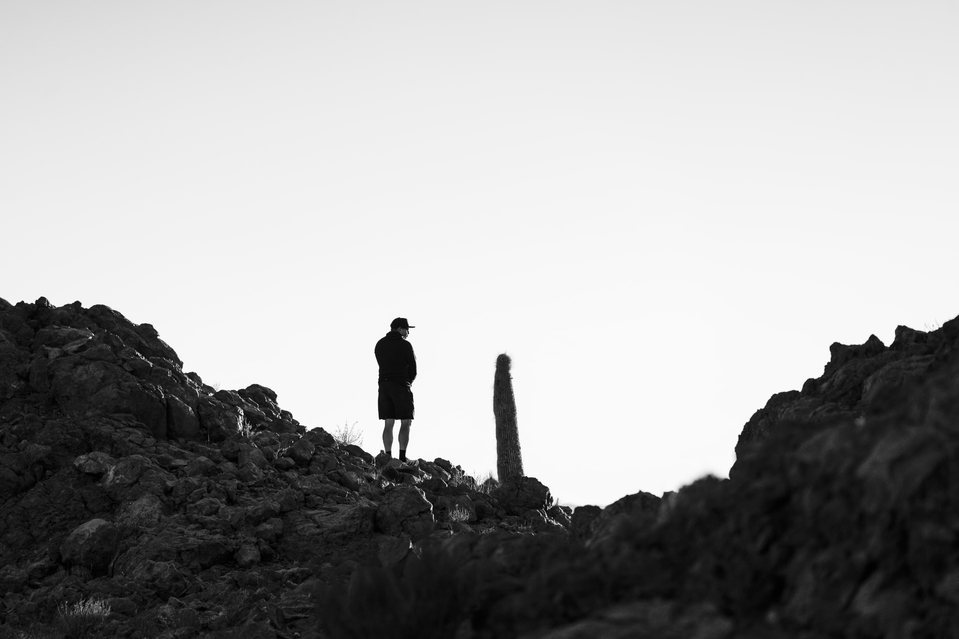 A lone hiker standing on dark volcanic rocks beside a saguaro cactus in black and white